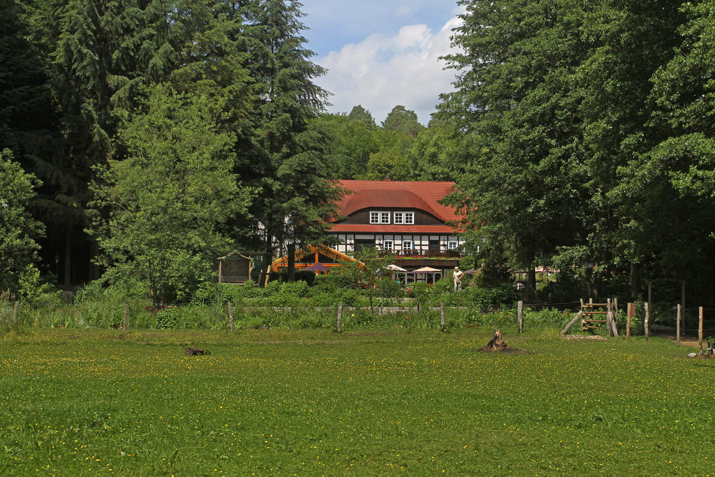 Hotel Boltenmühle 3*